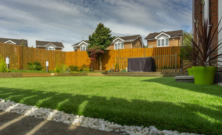 grass seed mat