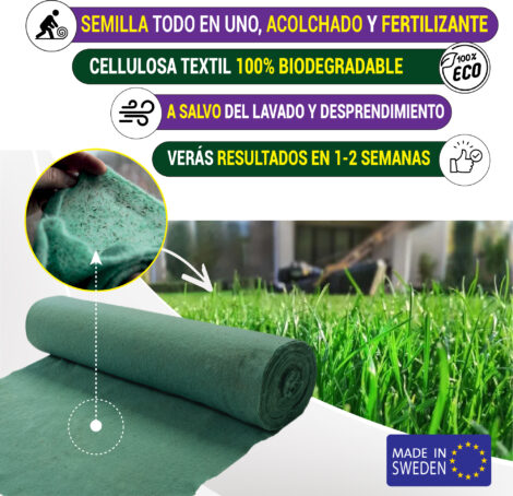 Semilla - Césped Rápido Ornamental Premium 40m2