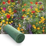 Flores Silvestres Perennes 5m²