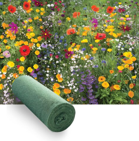 Flores Silvestres Perennes 5m²
