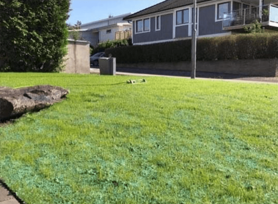 biodegradable blanket