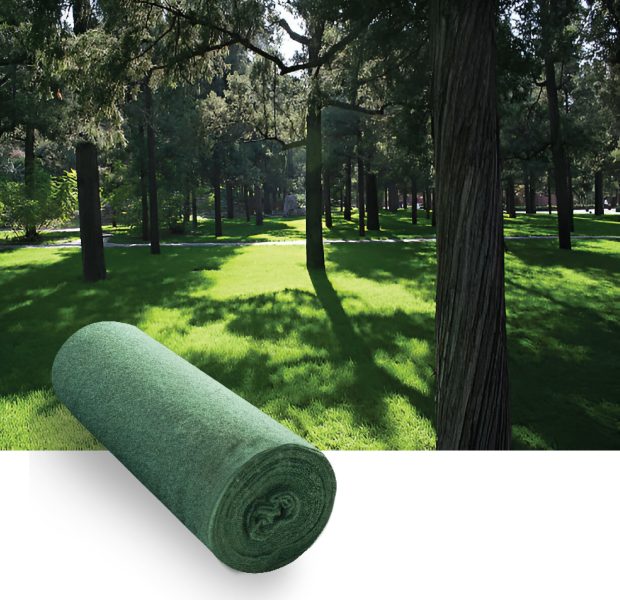 Grass seed shadow - Biodegradable grass seed mat