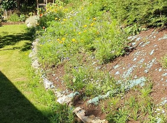 wildflowers blanket