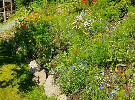 wildflowers blanket